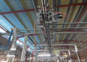 Cattle Carcass Processing Stepping Conveyor