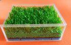 Customized Synthetic Grass Rubber Infill For Artificial Turf , SBR Rubber Granules