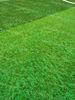 Soccer Synthetic Grass Infill TPV Eco Rubber Granulate Heat Resistance