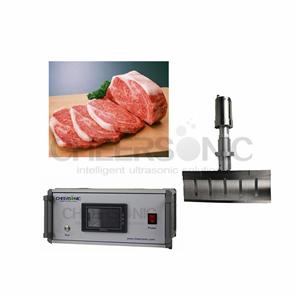 Ultrasonic Frozen Meat Cutting Machine Ultrasonic Food Crosscutting Machine