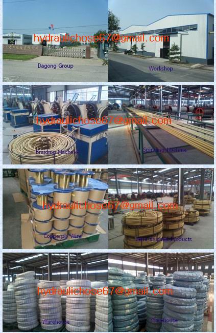 Hydraulic Hose