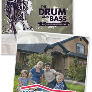 20W X 20H Custom Full Color Take Home Bags With Gusset