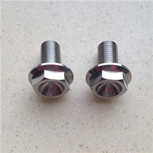 Titanium Hexagon Flange Bolt