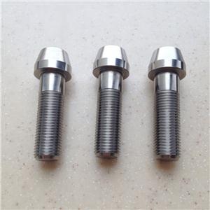 Titanium Motorcycle Screws