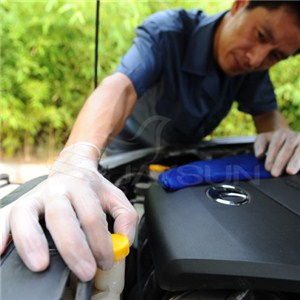 Vinyl Gloves Clear Color Powder Free