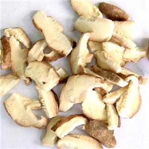 Freeze Dried Shiitake