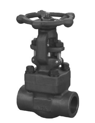 Forged Steel Gate Valve