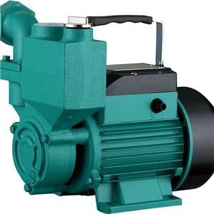 WZB Self-Priming Peripheral Pump