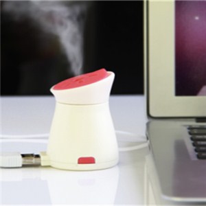 2015 New Usb Home Oil Spa Humidifier （LJH-005)