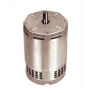 ZYT-145 Series DC Motor