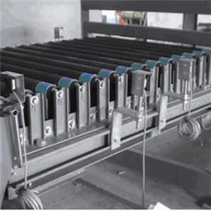 Gripping Roller Conveyor