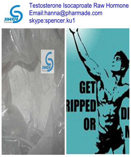 Testosterone Isocaproate China Source Secure Pacakge Safe delivery