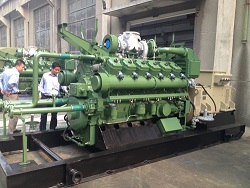 Economical 400KW LPG/Natural Gas Generator