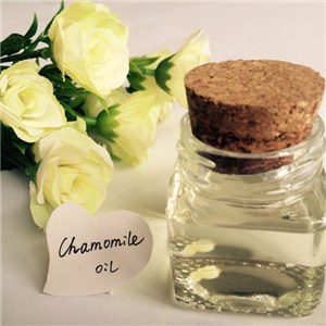 Chamomile Oil