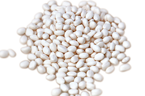 PA600 High Performance Flame Retardant Masterbatch 
