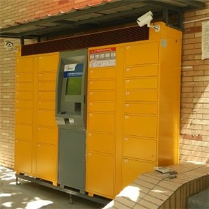 32 Door Electronic Locker For Parcel Delivery