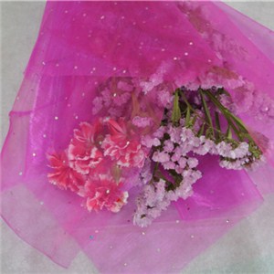 Pink Organza