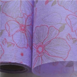 Printed Nonwoven Paper