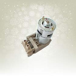 Mini negative pressure vacuum pump