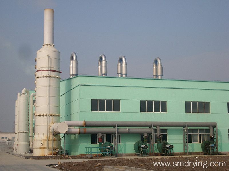 Grain Dryer/Paddy Drier for Grain Processing Machinery