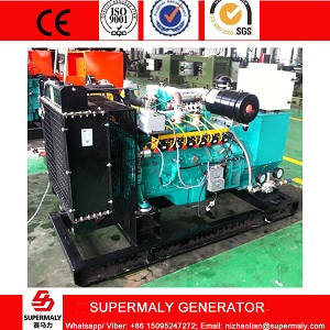 80KW Biogas Generator Price with CHP