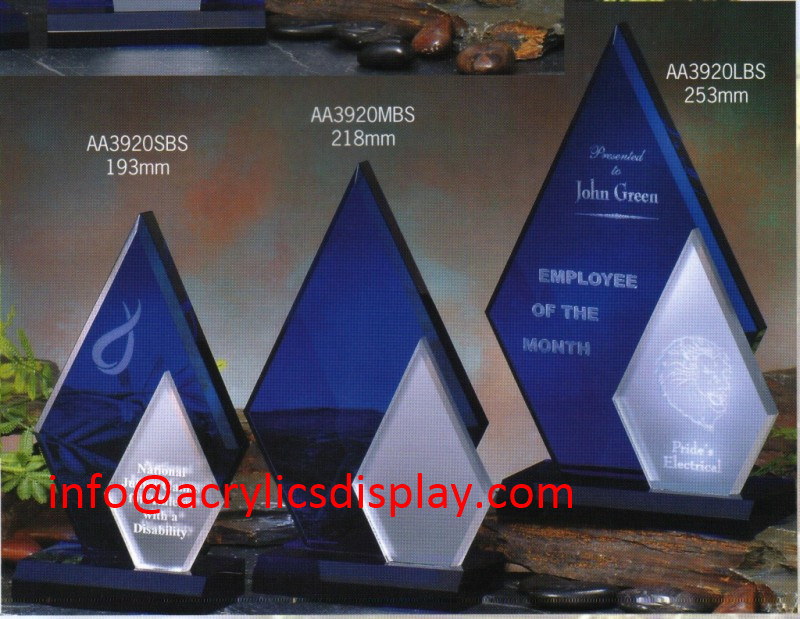 Factory cheep acrylic award,trophy