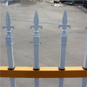 Galvanized Community Fence