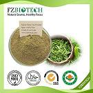 Green Tea Powder