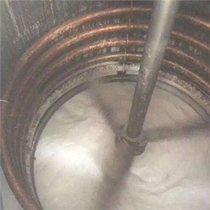 Agitator for Chemical Industry