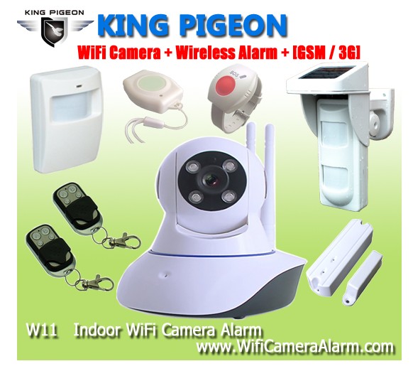 Wireless gsm wifi Dome IP camera with Security alarm W11