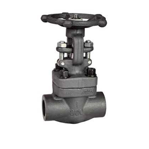 Small diameter forged steel power plant gate valve