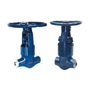 The Class Z961Y high temperature and high pressure power station gate valve 