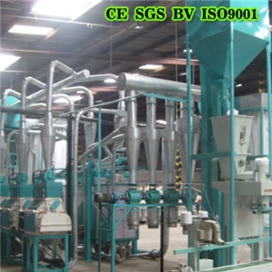 Algeria Wheat Flour Grinding 30T Per 24h