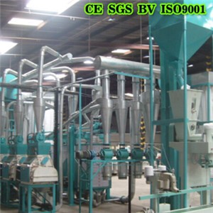 Ethiopia Wheat Flour Process 20T Per 24h