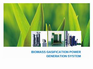 Biomass Power Plant Turnkey Project