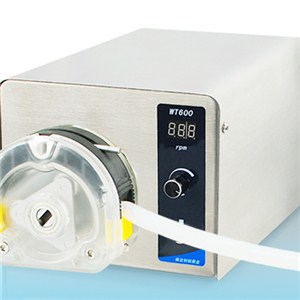 DC Brushless Tubing Pump With High Torque WT600