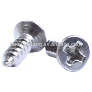 Electric Motor Screw Flat Head Screw