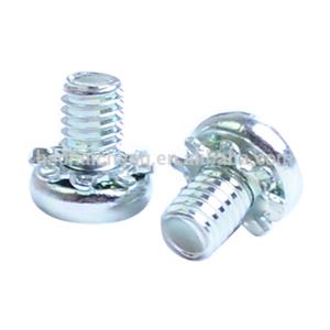 Electric Motor Combination Screw