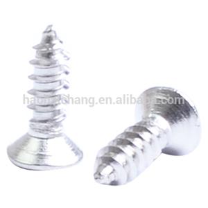 Electric Motor Stainless Steel Screws