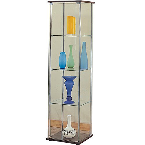 frameless glass Full Vision Showcase for curio