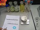 High Purity White Steriods Hormone Testosterone Enanthate Powder 315 - 37 - 7