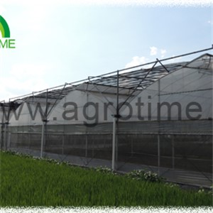 Auto Window Plastic Greenhouse