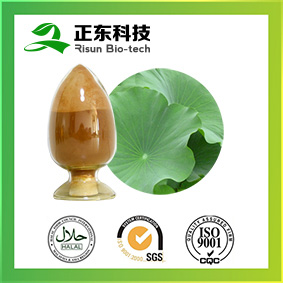 Lotus Leaf Extract