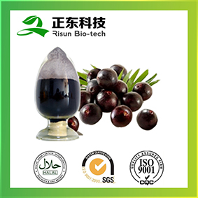 Acaiberry Extract