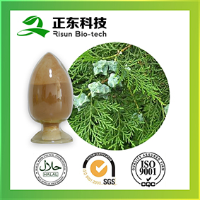 Oriental Arborvitae Leafytwigs Extract