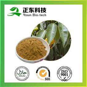 Senna Leaf Extract