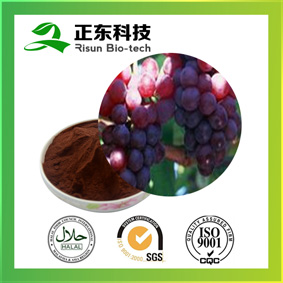 Grape Seed Extract