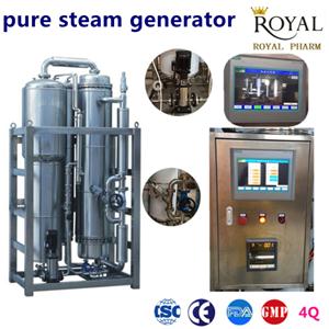 Pure Steam Sterlization Machine