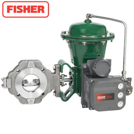 Fisher Butterfly Valve 