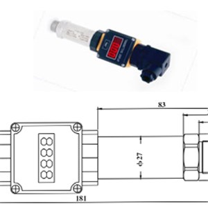 Pressure Transducer